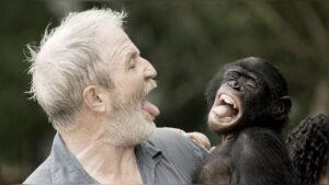 Сходства эмоций обезьян и людей