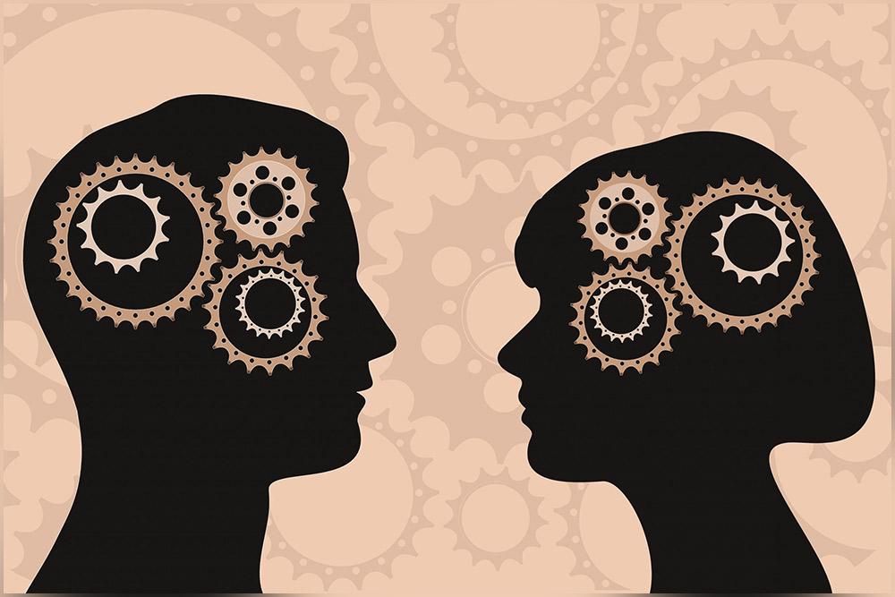 Чем различаются мозг мужчины и женщины